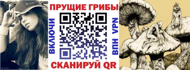 Галлюциногенные грибы Psilocybe  Коломна 