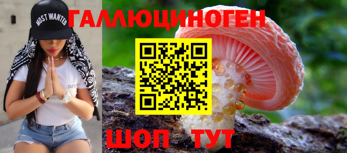 Псилоцибиновые грибы Psilocybine cubensis  Вход с VPN  Коломна  Псилоцибиновые грибы GOLDEN TEACHER 